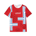 Norway Flag Pattern Jersey | Men's Sports Jersey