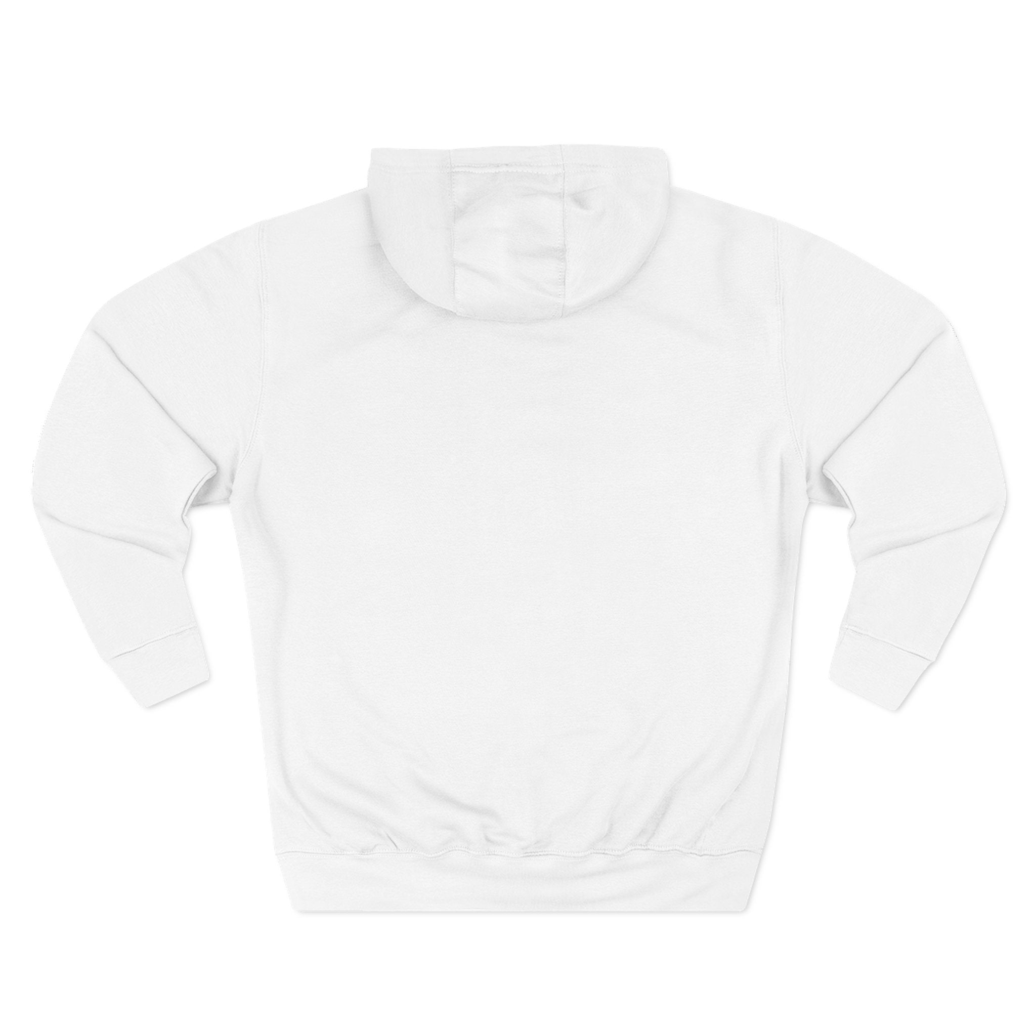 Distressed Argentina Flag Pullover Hoodie | Argentina Graphic Fleece Hoodie