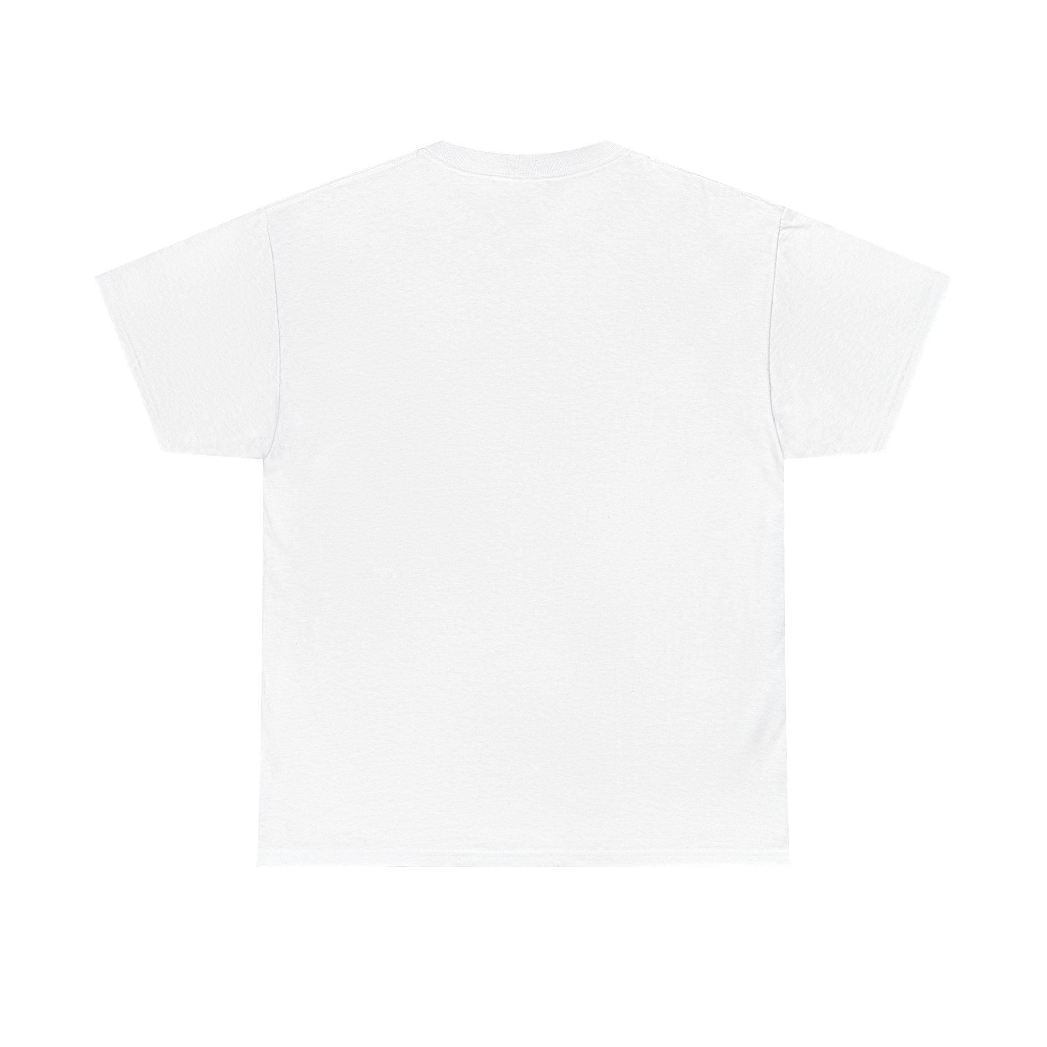 Distressed Argentina Flag Tee | Argentina Graphic Cotton T-Shirt